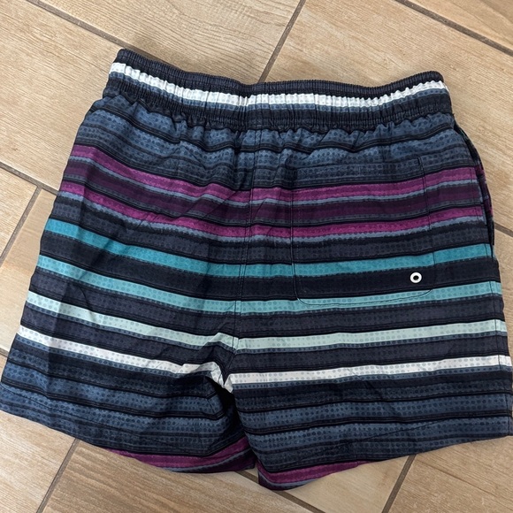 Speedo Men's Striped Swim Trunks M / D1 - Picture 5 of 5